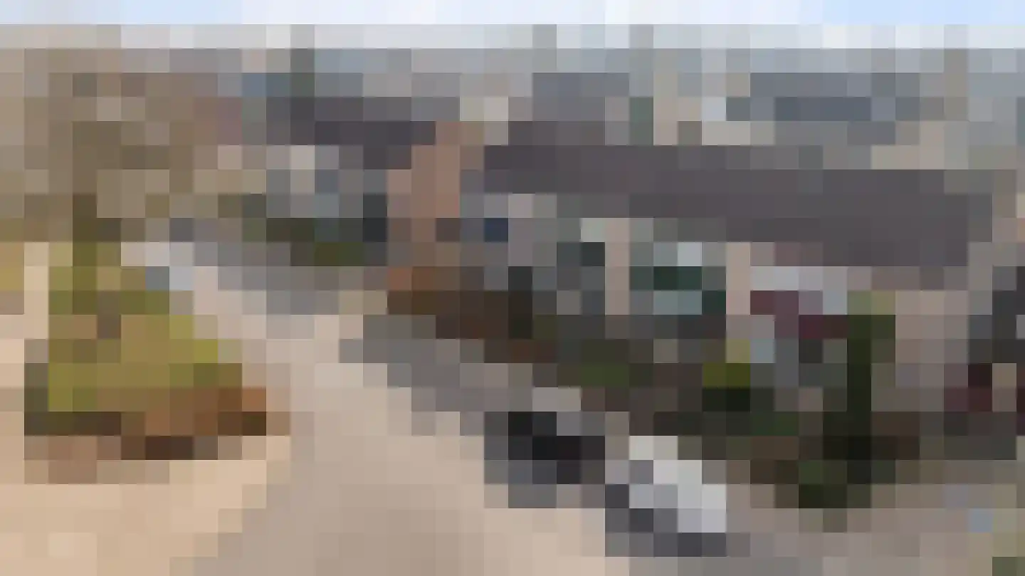Bachstraat 77 Eerbeek thumbnail 5