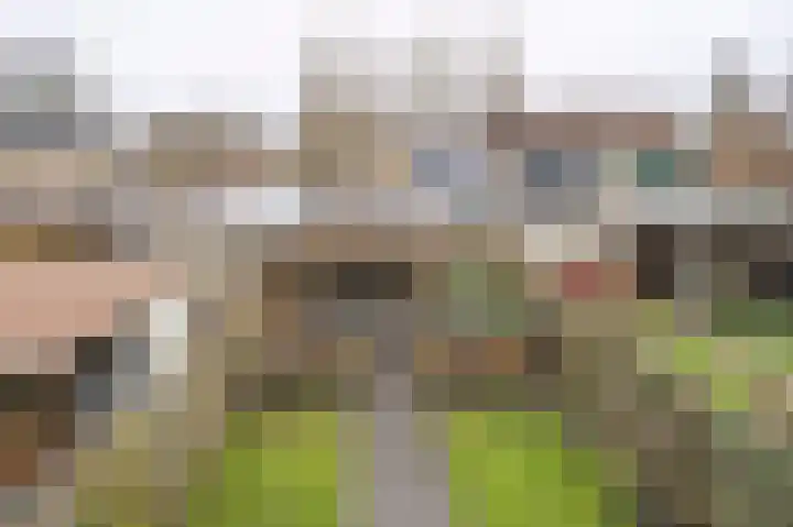 Bachstraat 78 Eerbeek thumbnail 24