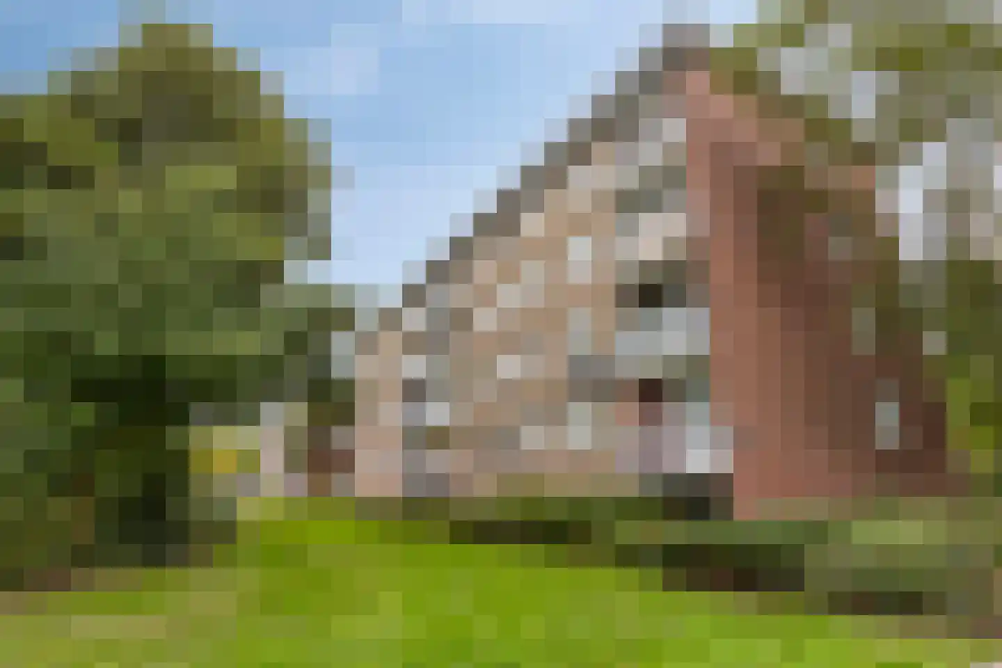 Bachstraat 86 Heemskerk thumbnail 20