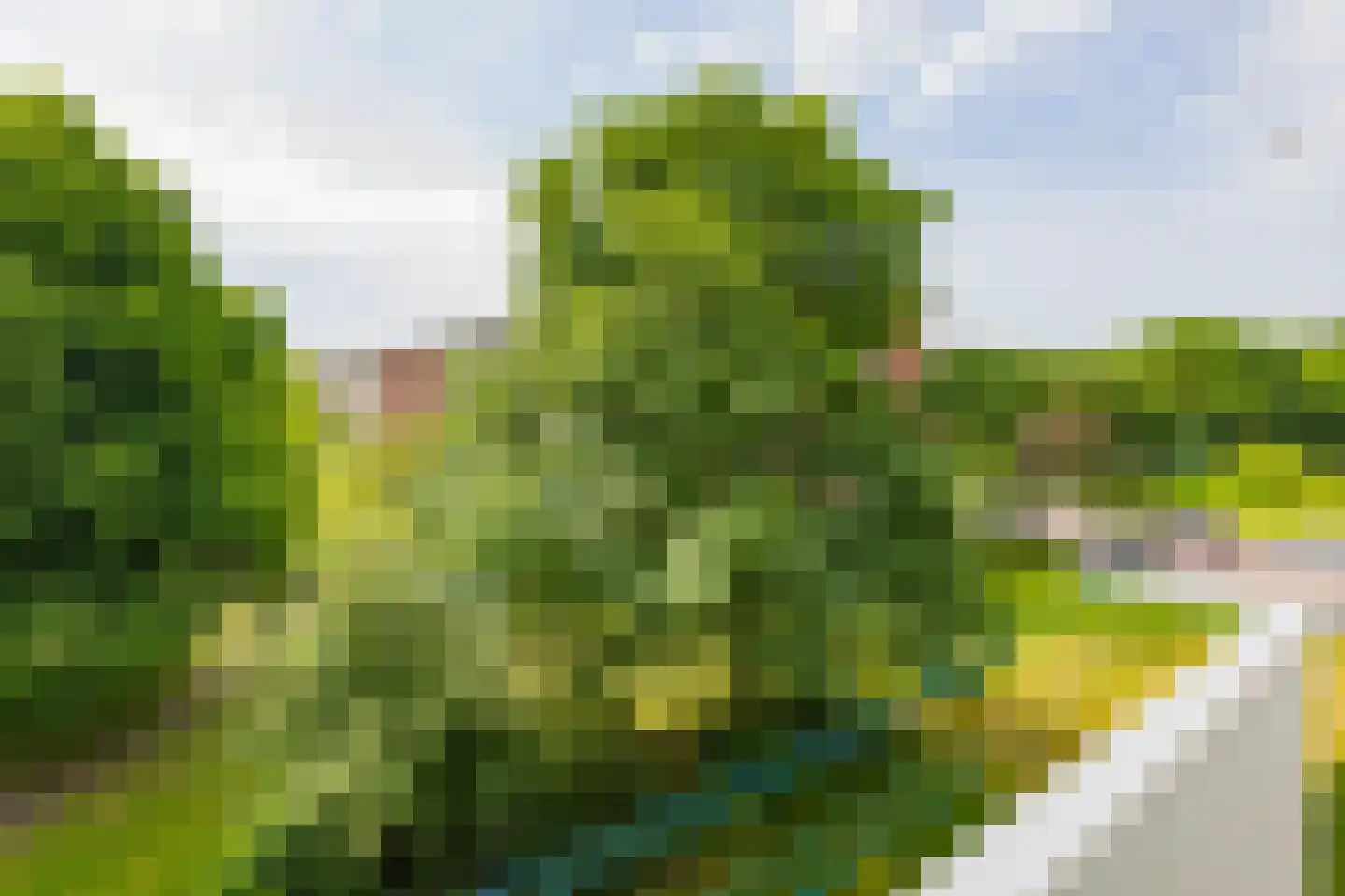 Bachstraat 96 Heemskerk thumbnail 17