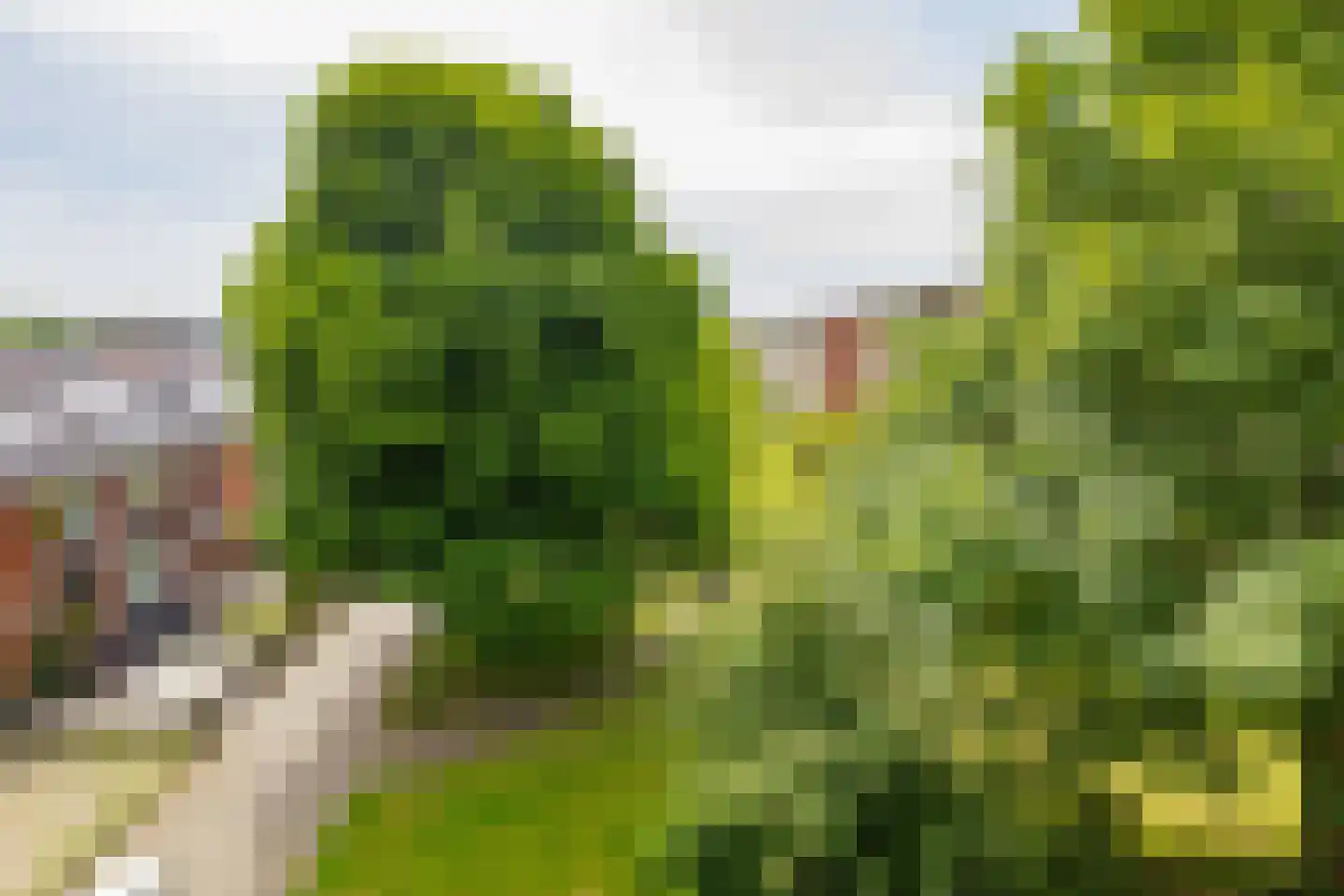 Bachstraat 96 Heemskerk thumbnail 18