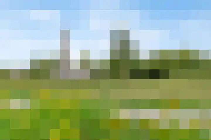 Bachweg 100 B Amersfoort thumbnail 33