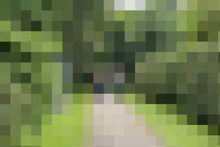 Bachweg 183 Amersfoort thumbnail 32