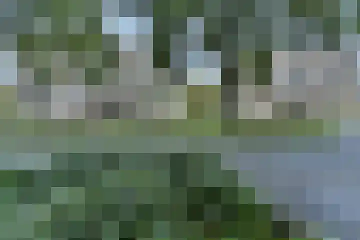 Bachweg 21 A Amersfoort thumbnail 8