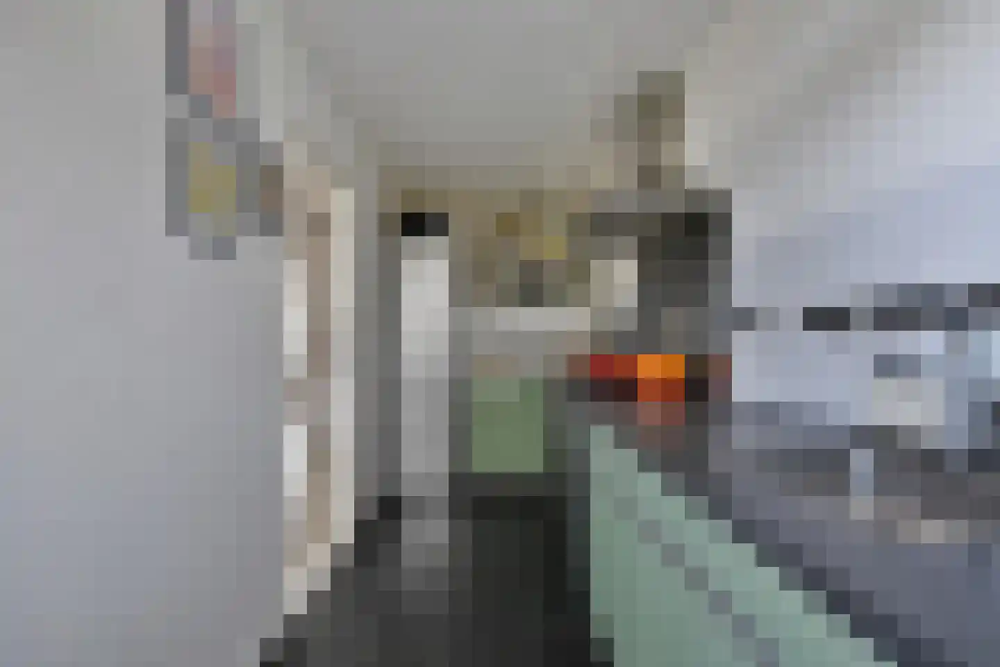Bachweg 21 C Amersfoort thumbnail 6