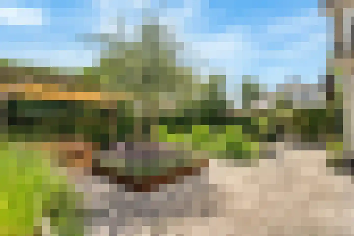 Bachweg 50 Amersfoort thumbnail 41