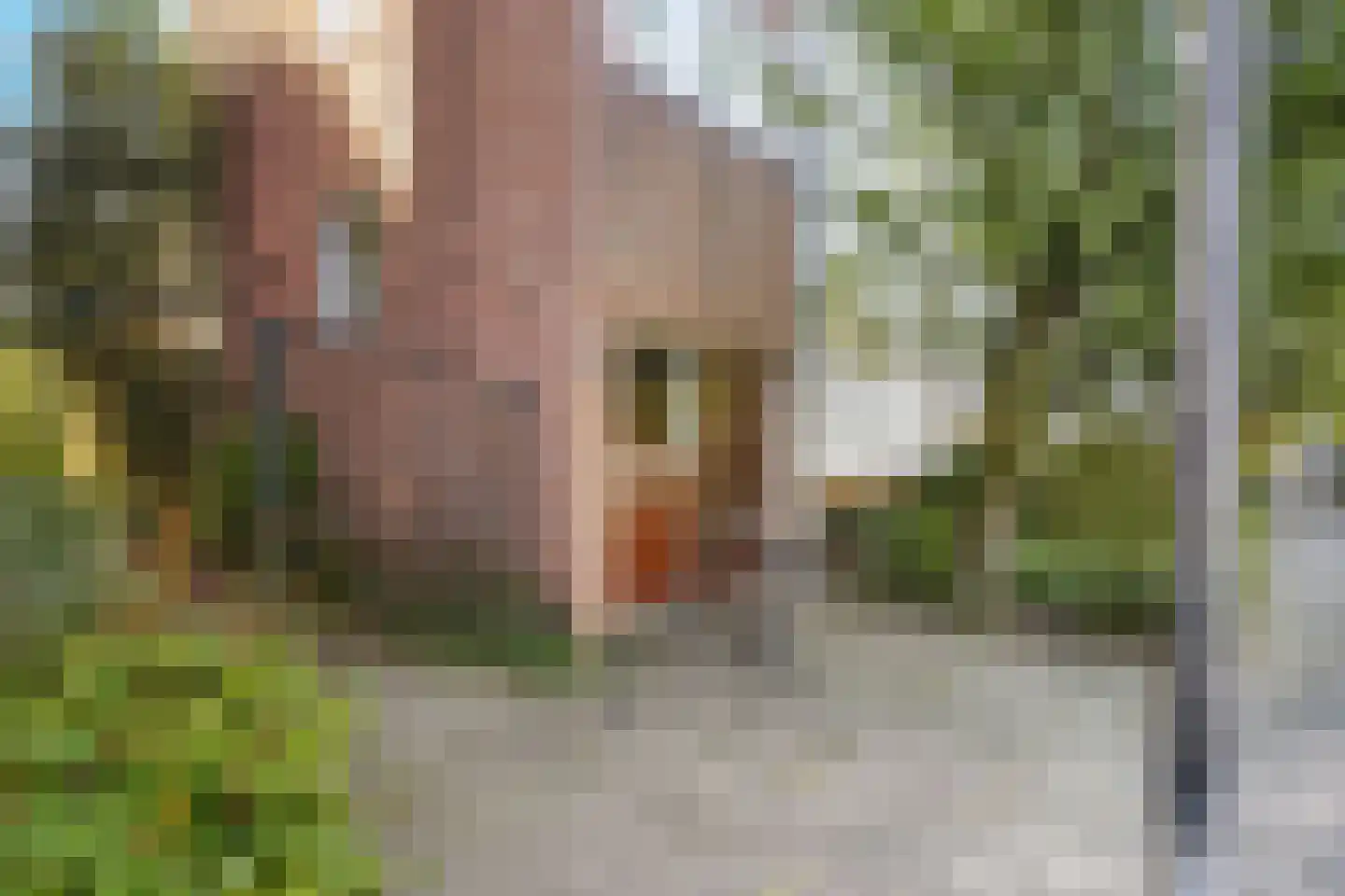 Bachweg 90 B Amersfoort thumbnail 27