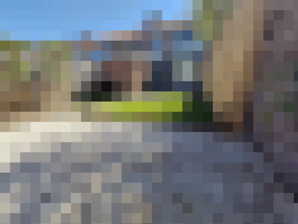 Backenhagenlaan 53 Hengelo thumbnail 11