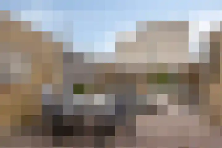 Backermarke 21 Zwolle thumbnail 26
