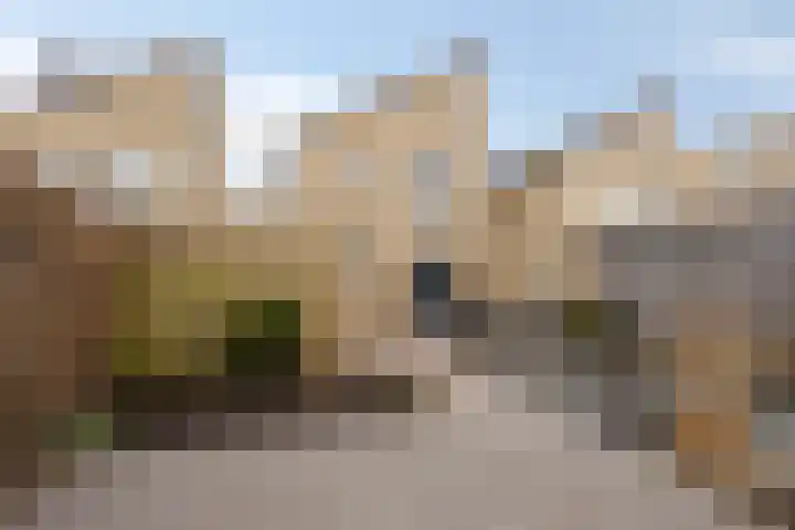 Backermarke 21 Zwolle thumbnail 27