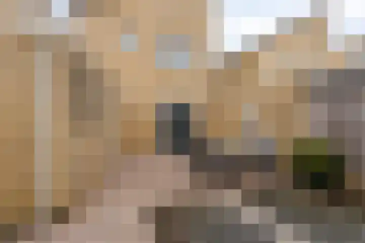 Backermarke 21 Zwolle thumbnail 29