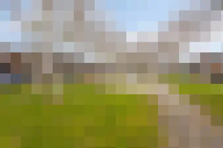 Backermarke 21 Zwolle thumbnail 36