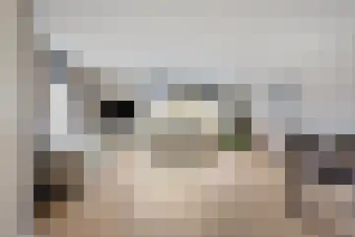 Backermarke 21 Zwolle thumbnail 5