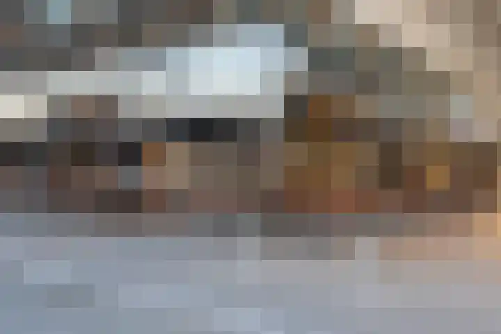 Backershagen 1 Amsterdam thumbnail 24