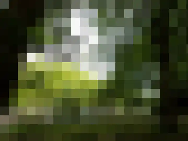 Backershagen 1 Amsterdam thumbnail 25