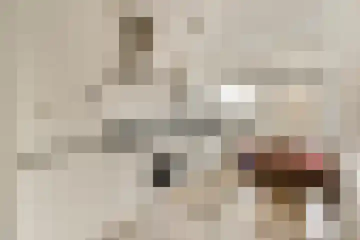 Backershagen 1 Amsterdam thumbnail 6