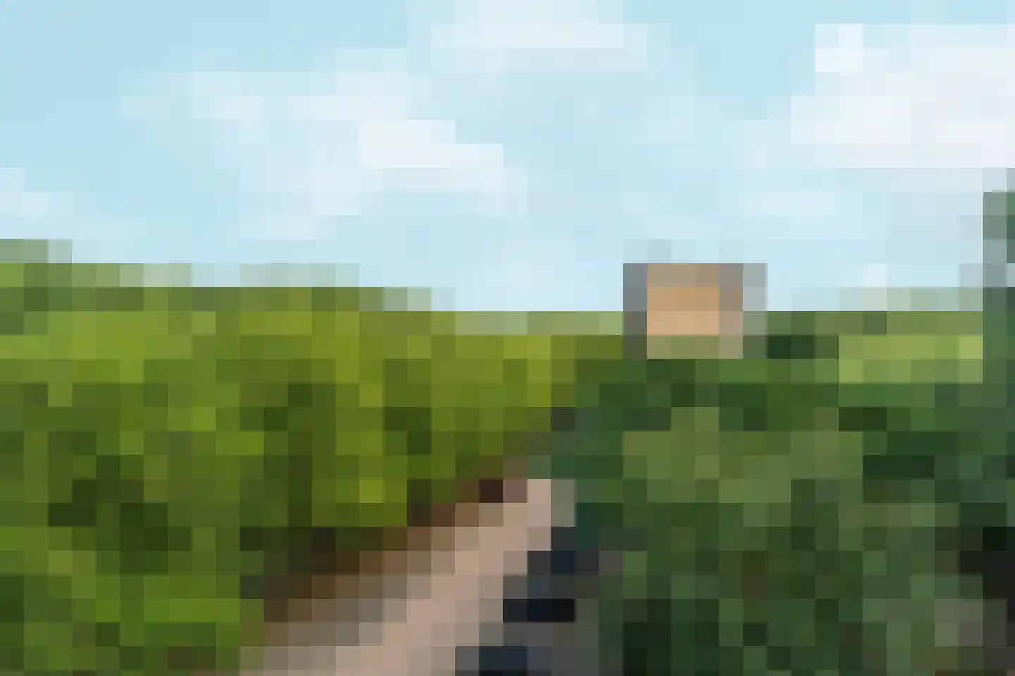 Backershagen 19 Amsterdam thumbnail 14