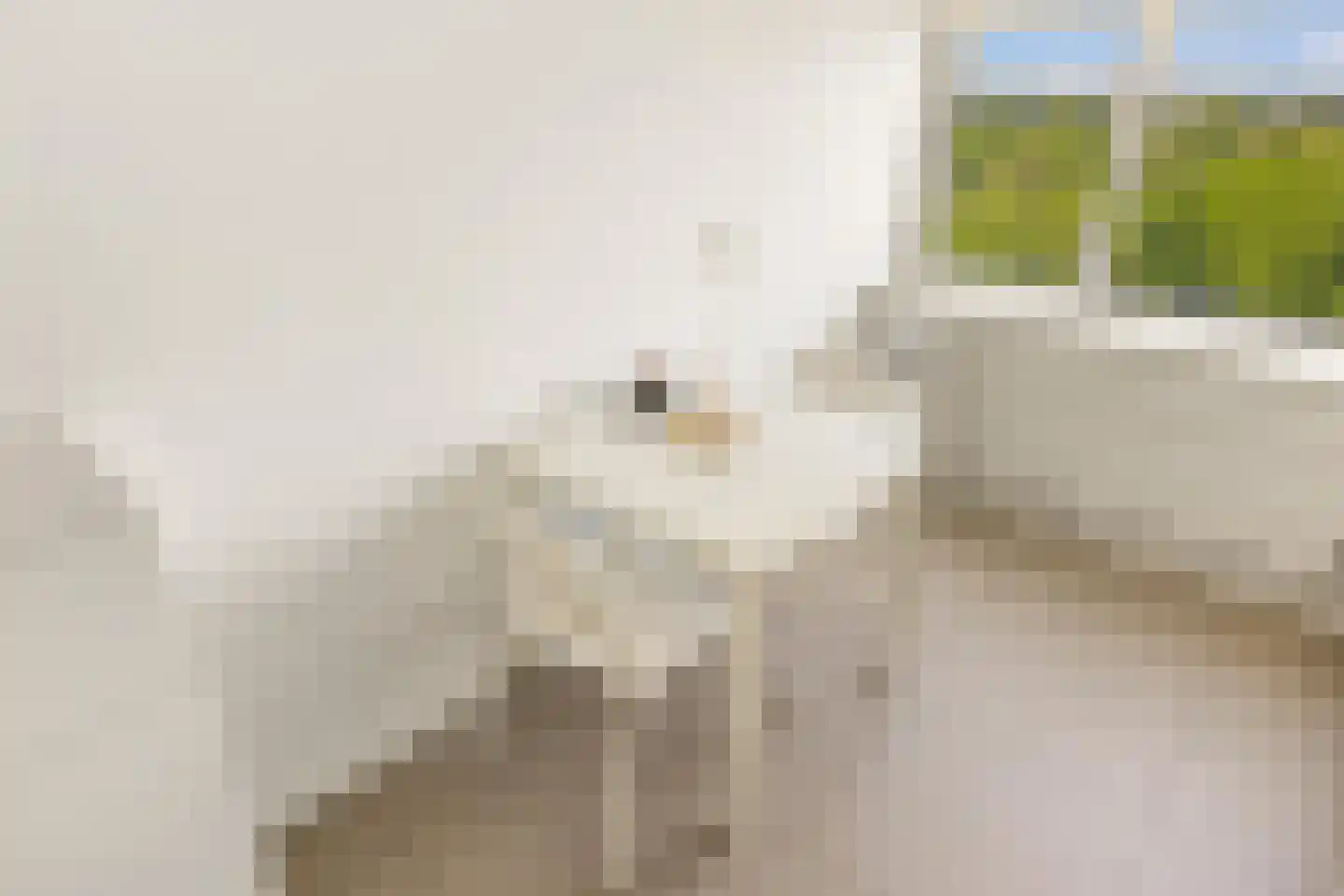 Backershagen 79 Amsterdam thumbnail 13