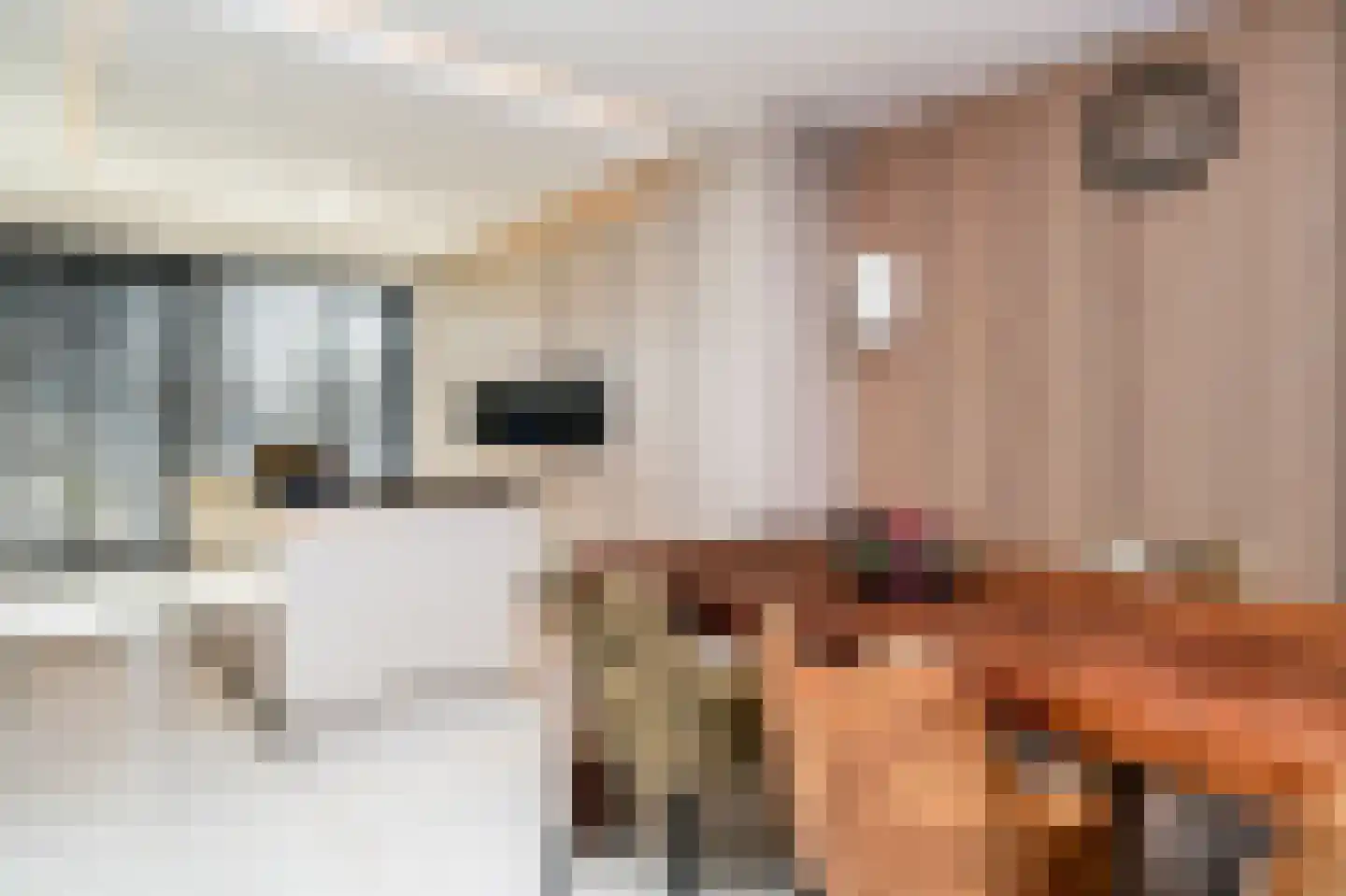 Backershagen 9 Rotterdam thumbnail 12