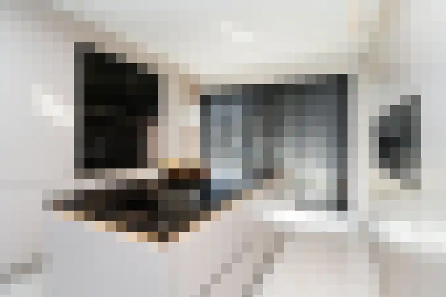 Backershagen 9 Rotterdam thumbnail 13