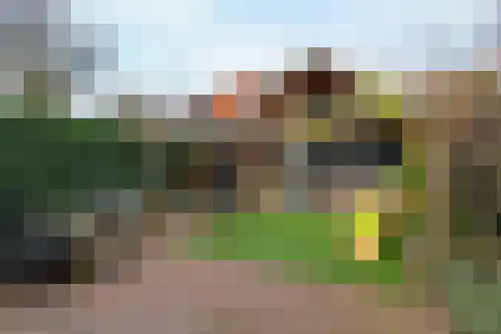 Backerstraat 15 Oosterbeek thumbnail 32