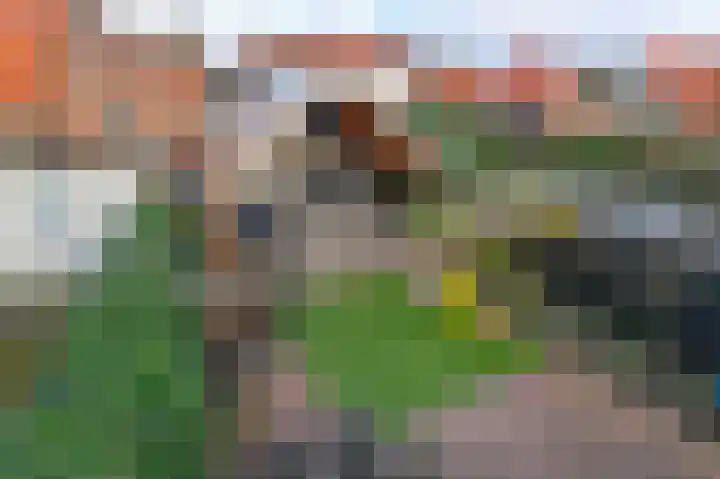 Backerstraat 15 Oosterbeek thumbnail 35