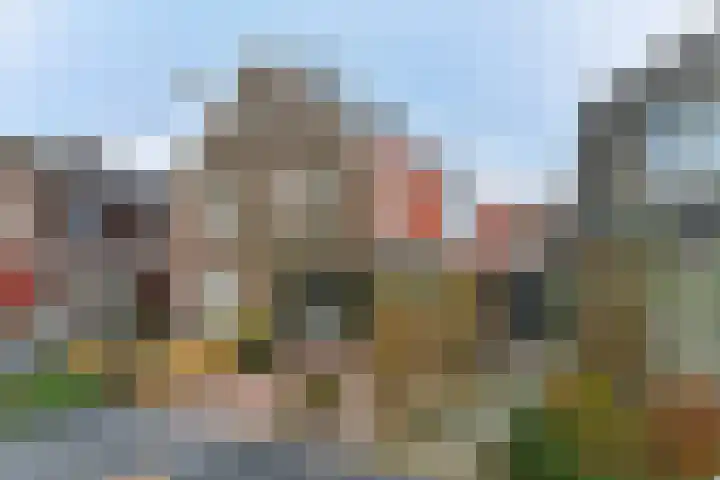 Backerstraat 15 Oosterbeek thumbnail 39