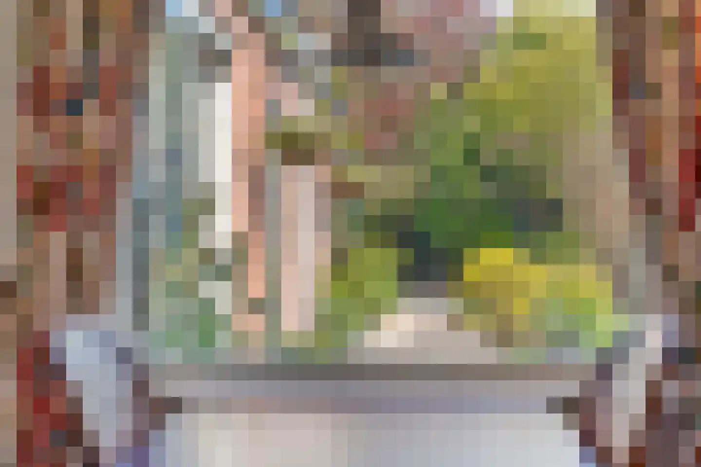 Backerstraat 39 Oosterbeek thumbnail 10