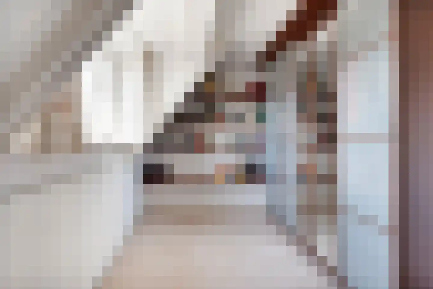 Backerstraat 39 Oosterbeek thumbnail 28