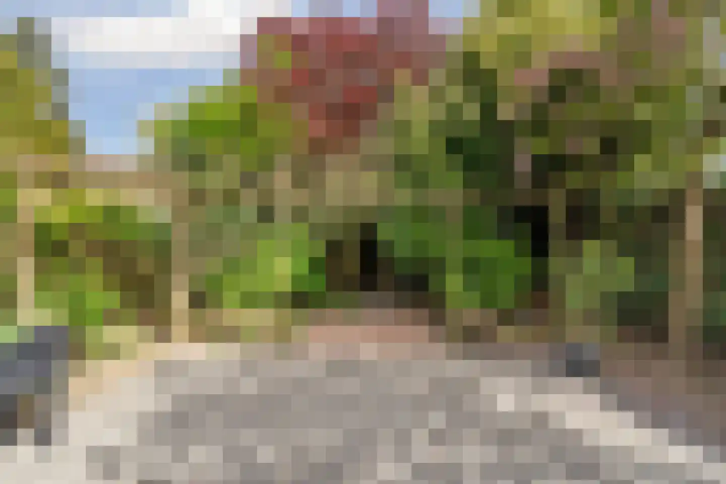 Backerstraat 39 Oosterbeek thumbnail 40