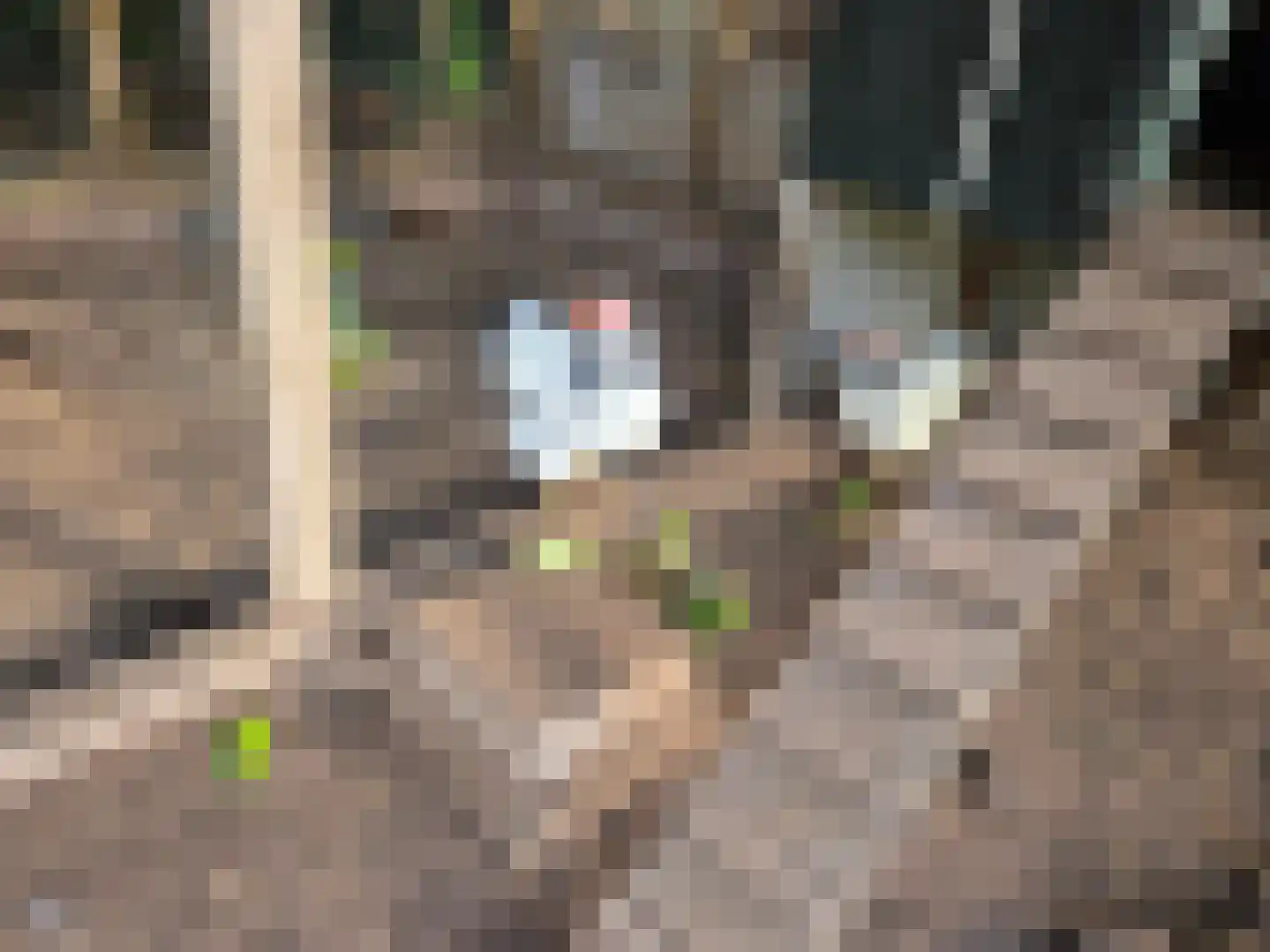 Backerstraat 39 Oosterbeek thumbnail 43