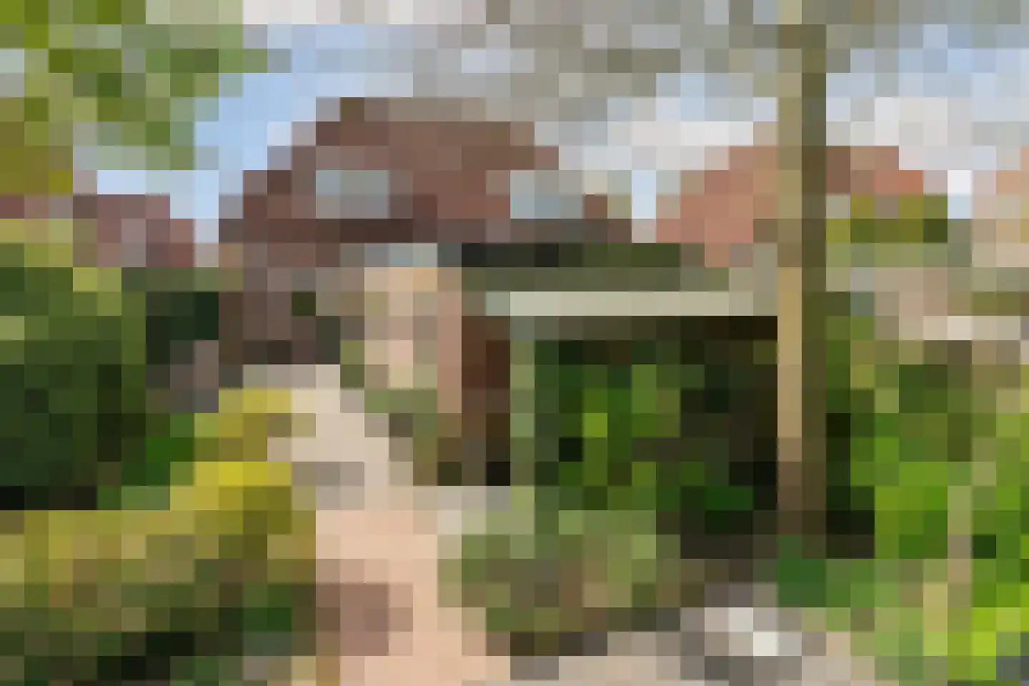 Backerstraat 39 Oosterbeek thumbnail 44