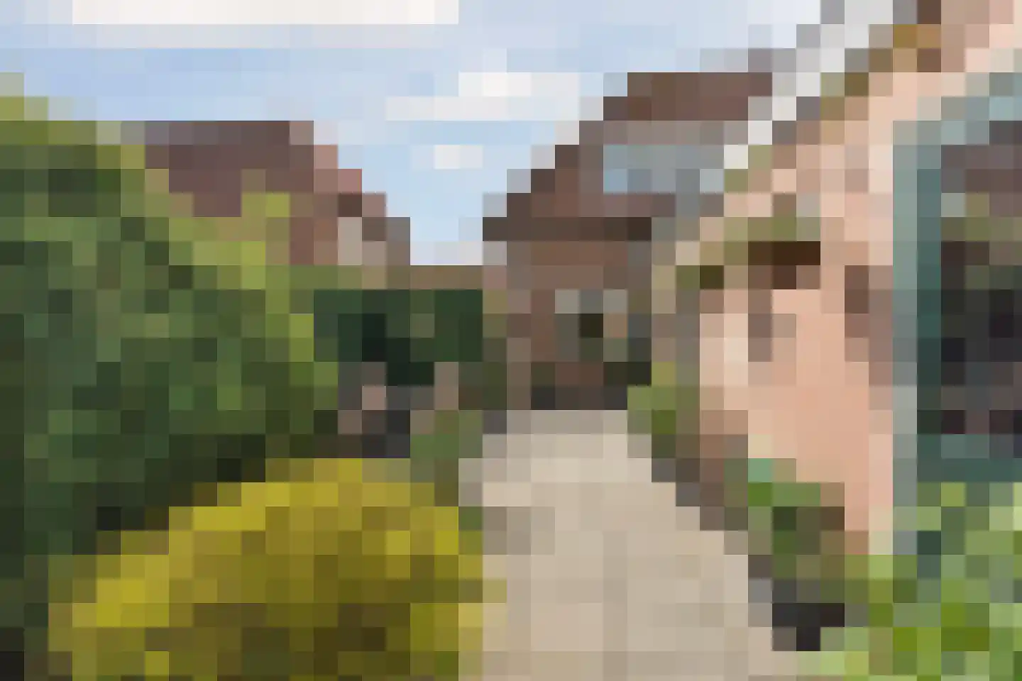 Backerstraat 39 Oosterbeek thumbnail 45