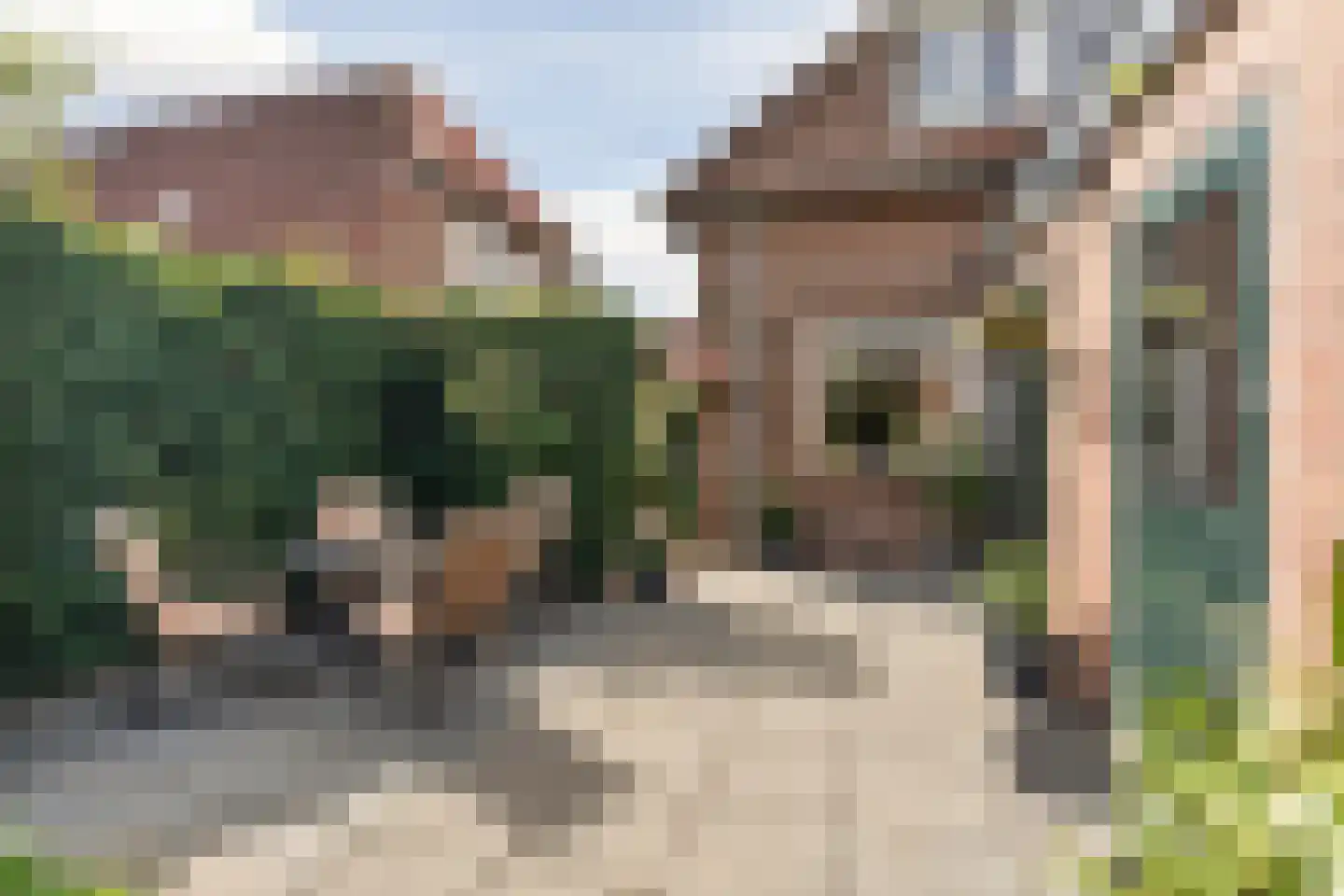 Backerstraat 39 Oosterbeek thumbnail 46