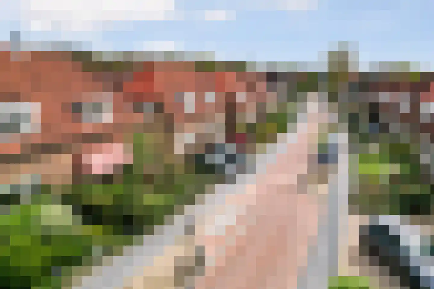 Backerstraat 39 Oosterbeek thumbnail 51
