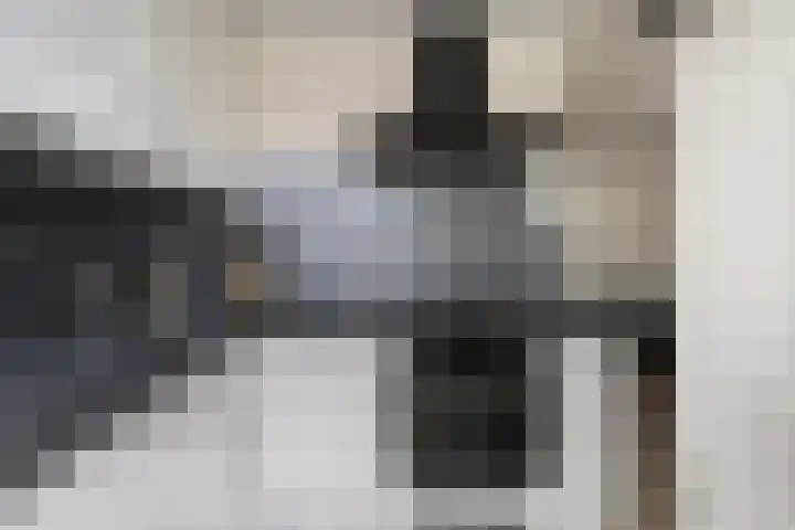 Baconstraat 8 Nieuwdorp thumbnail 11
