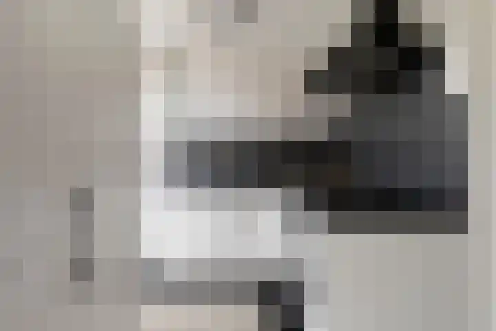 Baconstraat 8 Nieuwdorp thumbnail 12
