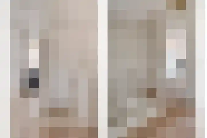 Baconstraat 8 Nieuwdorp thumbnail 15