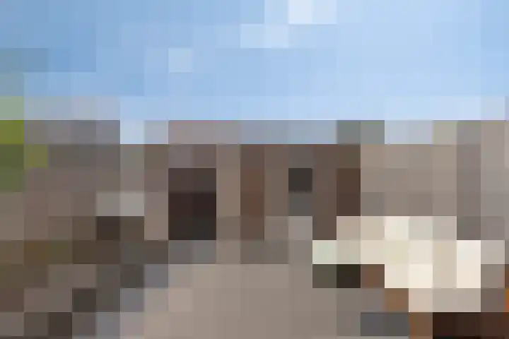 Baconstraat 8 Nieuwdorp thumbnail 22