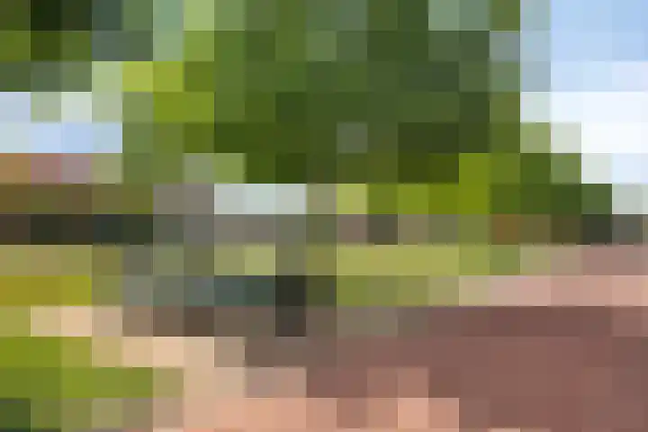 Baconstraat 8 Nieuwdorp thumbnail 27