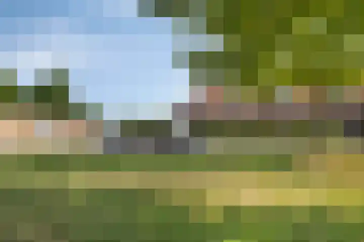Baconstraat 8 Nieuwdorp thumbnail 29