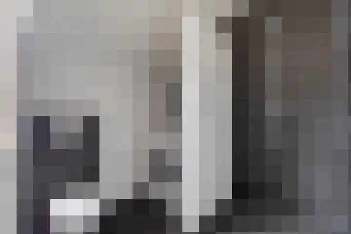 Baconstraat 8 Nieuwdorp thumbnail 5