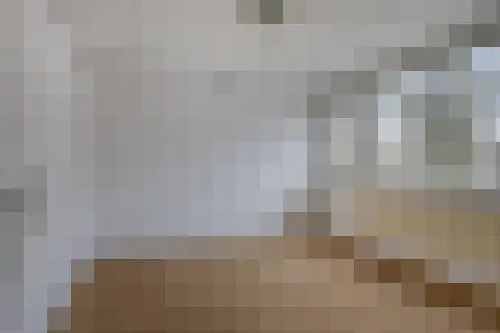 Baden Powelllaan 51 Tilburg thumbnail 16