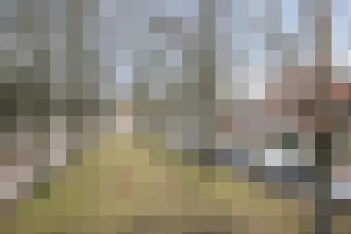 Baden Powelllaan 51 Tilburg thumbnail 18