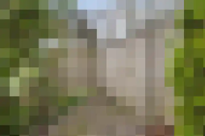 Baden Powelllaan 51 Tilburg thumbnail 33