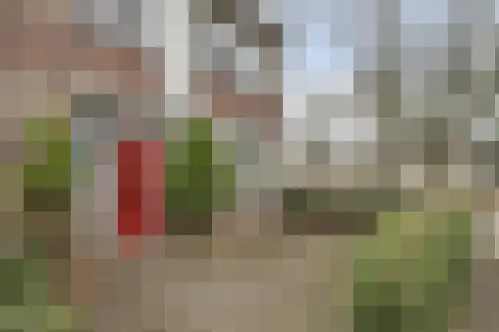 Baden Powelllaan 51 Tilburg thumbnail 6