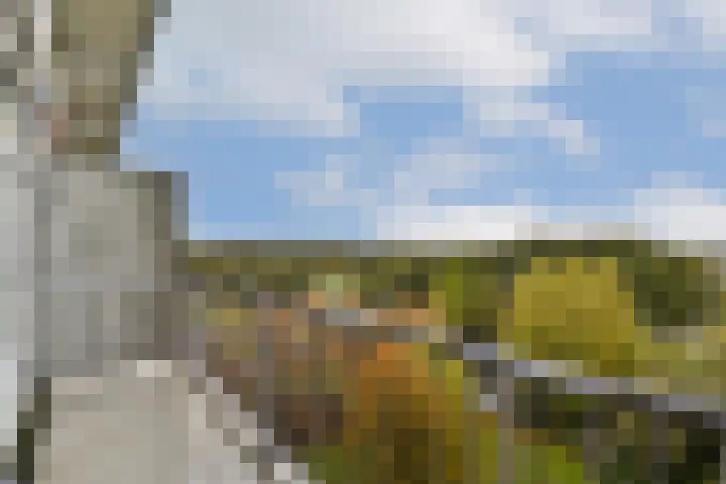 Baden Powellweg 149 Amsterdam thumbnail 17
