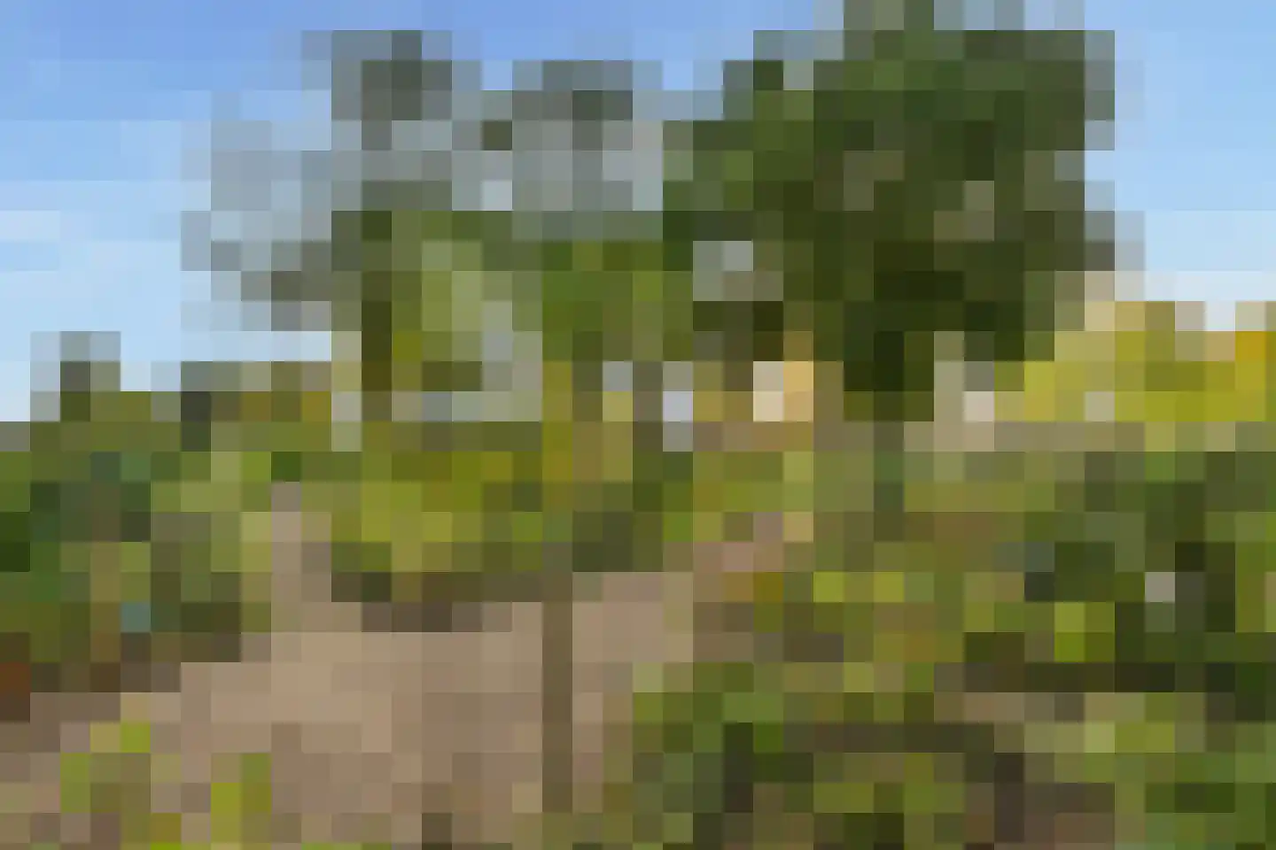 Baden Powellweg 155 Amsterdam thumbnail 21