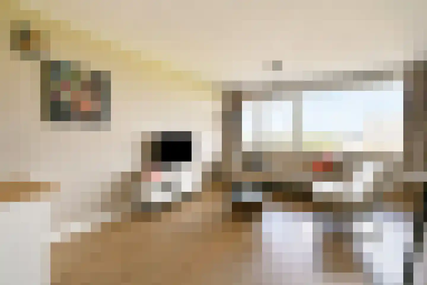 Baden Powellweg 155 Amsterdam thumbnail 5