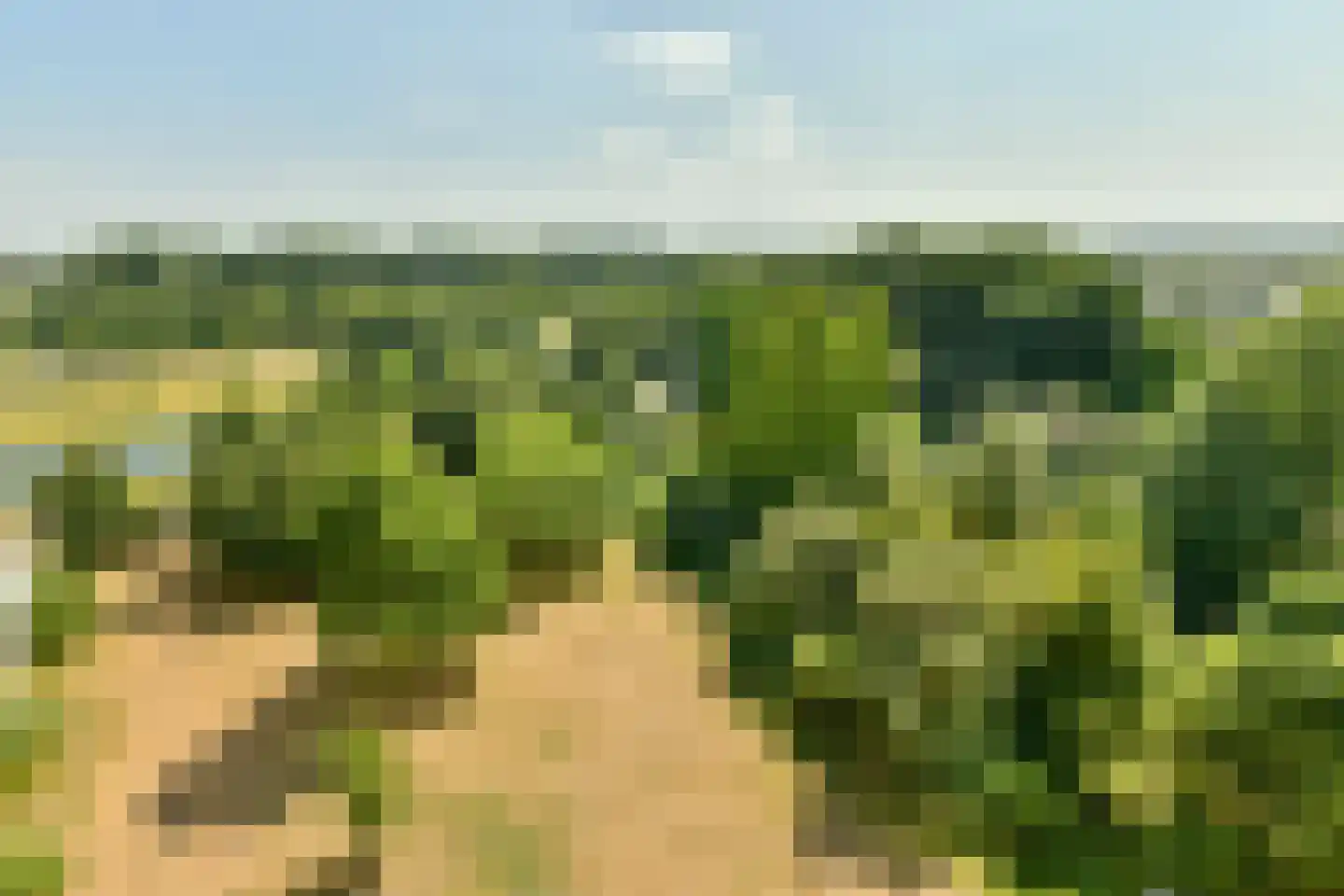 Baden Powellweg 163 Amsterdam thumbnail 10